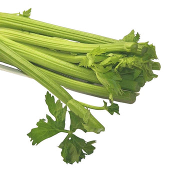 Celery