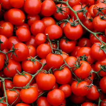 Cherry Tomatoes