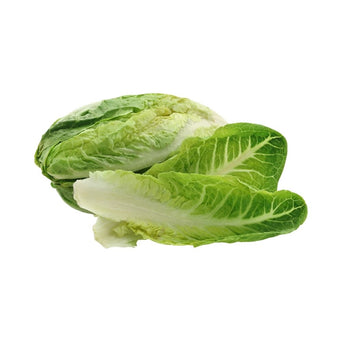 Iceberg Lettuce