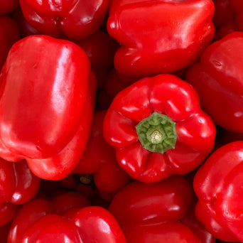 Red Capsicum