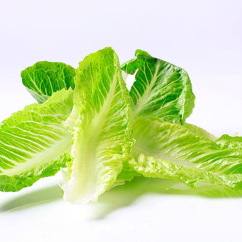 Romaine