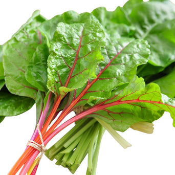 Swiss Chard