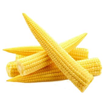 Babycorn