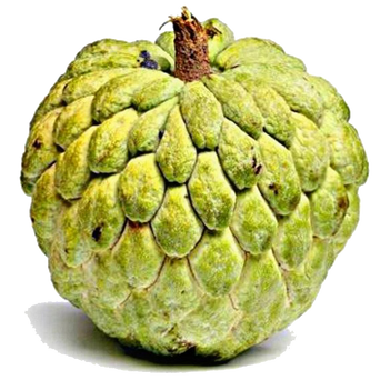 Custard Apple- Sitafal