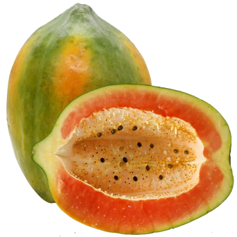 Papaya