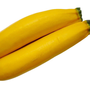 Yellow Zucchini