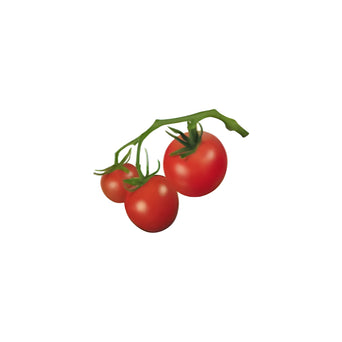 Cherry Tomatoes