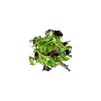 Lettuce Mix