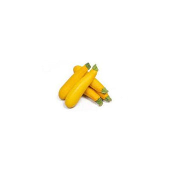 Yellow Zucchini