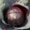 Red Cabbage 1pc