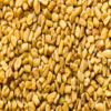 500g Desi Methi Seeds - Image 3