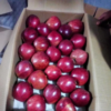 1KG INDIAN SHIMA APPLES - Image 3