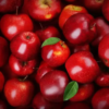 1KG INDIAN SHIMA APPLES - Image 2